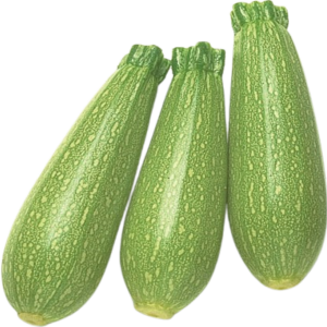 Squash Seeds