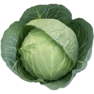cabbage Seeds