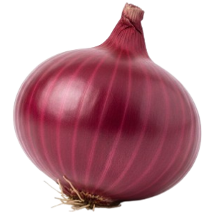 onion's Seeds